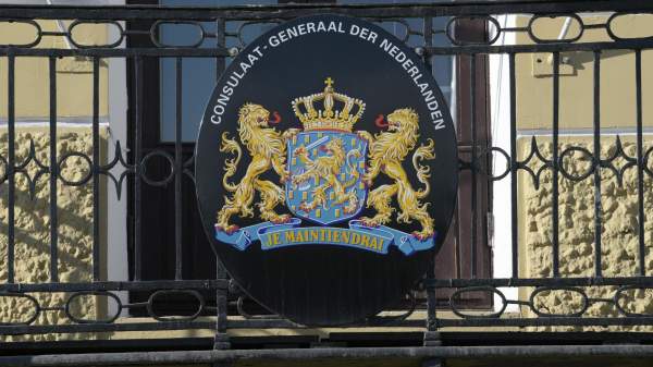 Read more about the article Financiele Dagblad: Нидерланды произвели больше электроэнергии, чем в 2024 году